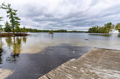 1286 Hemlock Point Rd, Muskoka Lakes - Medora image-0-1