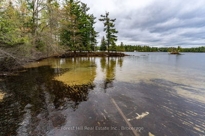1286 Hemlock Point Rd, Muskoka Lakes - Medora image-0-2