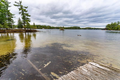 1286 Hemlock Point Rd, Muskoka Lakes - Medora image-0-3