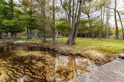 1286 Hemlock Point Rd, Muskoka Lakes - Medora image-0-4