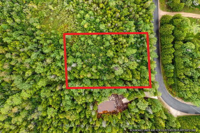 PT Farm LT 4 NICHOLAS St, Northern Bruce Peninsula - Northern Bruce Peninsula image-0-1