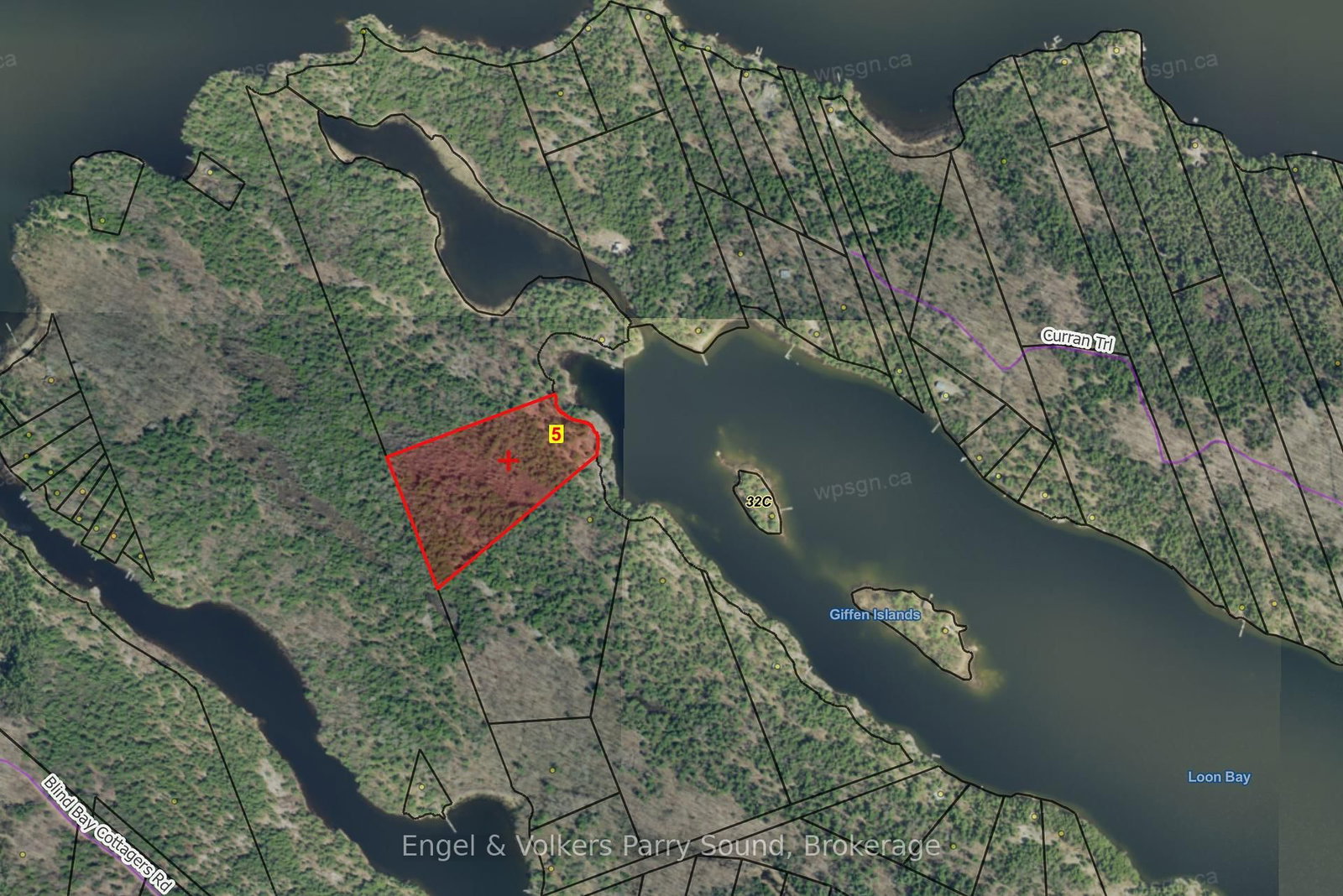 Listing Image 7