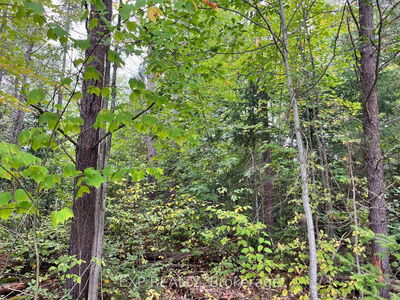 Lot 35 Yantha Cres, Barry's Bay - Madawaska Valley image-0-3