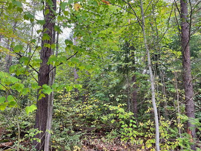 Lot 37 Yantha Cres, Barry's Bay - Madawaska Valley image-0-4