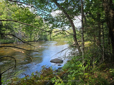  Burnt River WAO, Minden Hills - Snowdon image-0-4