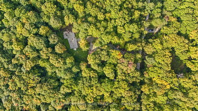 1409 Basshaunt Lake Rd, Dysart et al - Guilford image-0-4