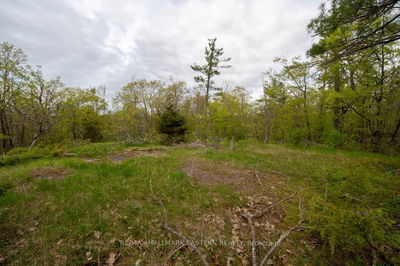  Tedford Dr, Selwyn - Selwyn image-0-2
