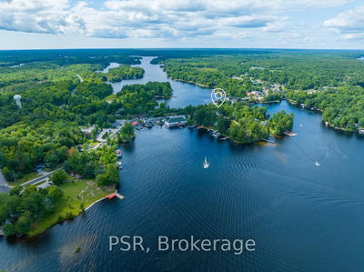 1020 Bala Falls Rd, Muskoka Lakes - Wood (Muskoka Lakes) image-0-1