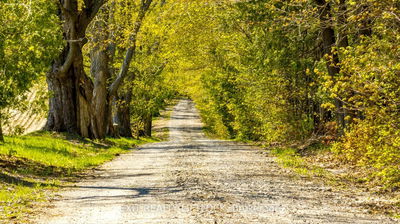 404 Morton Line, Cavan Monaghan - Cavan-Monaghan image-0-2