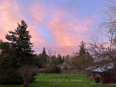 1920 County Rd 6 Rd, Douro-Dummer - Douro-Dummer image-0-3