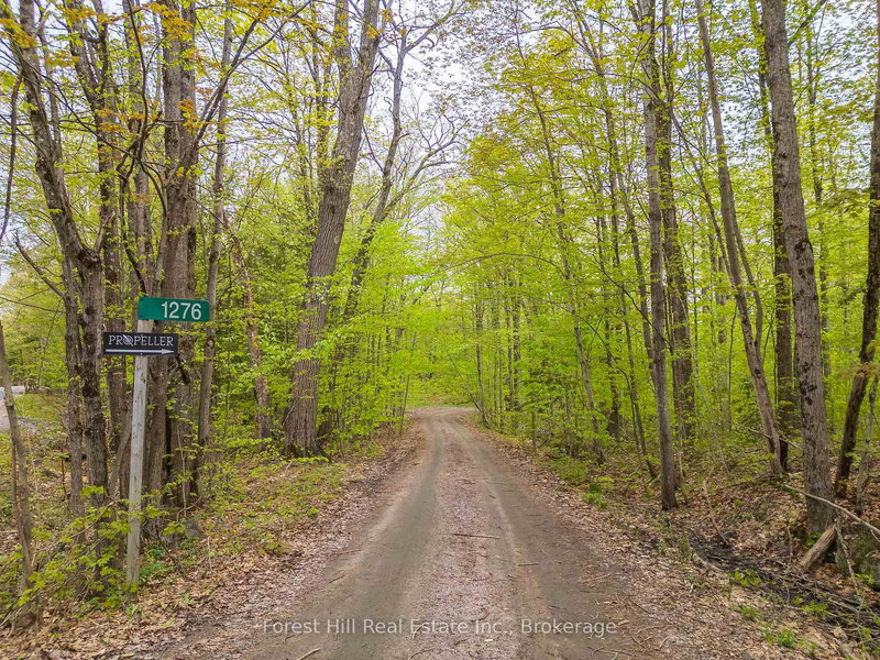 1276 East Bay Rd, Muskoka Lakes, P0C 1M0 | Image 2