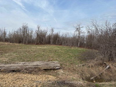 Con 2 5th Line, Melancthon - Rural Melancthon