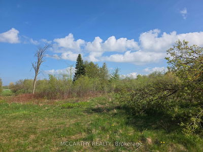 238527 4th Line, Melancthon - Rural Melancthon image-0-4