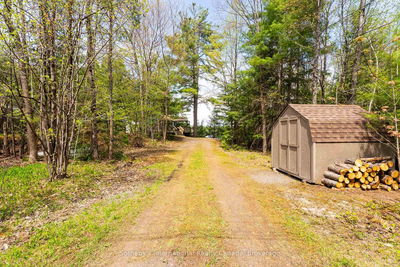 197 Haleway Dr, Gravenhurst - Wood (Gravenhurst) image-0-4