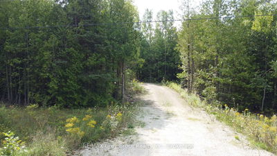 41 Noble Dr, Northern Bruce Peninsula - Northern Bruce Peninsula image-0-2