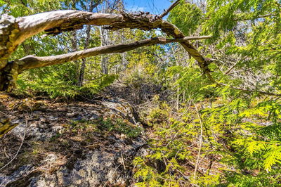 Pt Farm Lt 4 Chi Sin Tib Dek Rd, Northern Bruce Peninsula - Northern Bruce Peninsula image-0-1