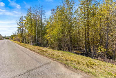 Part Fm Lot 4 Chi Sin Tib Dek Rd, Northern Bruce Peninsula - Northern Bruce Peninsula image-0-3