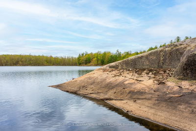 1074 Cooks Rd, Gravenhurst - Ryde image-0-2