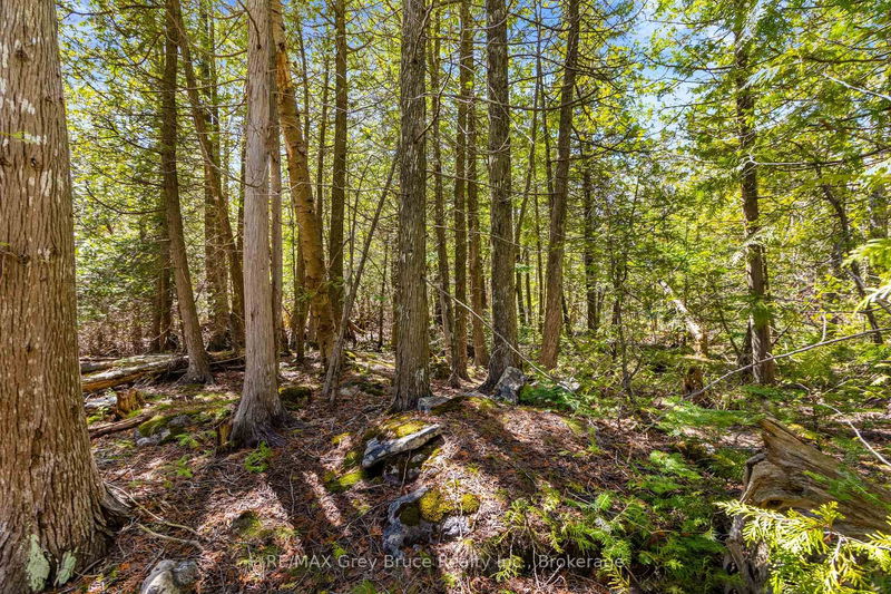 Pt Farm Lot 4 Chi Sin Tib Dek Rd, Northern Bruce Peninsula - Northern Bruce Peninsula image-0-0
