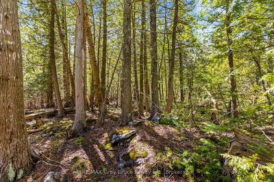 Pt Farm Lot 4 Chi Sin Tib Dek Rd, Northern Bruce Peninsula - Northern Bruce Peninsula