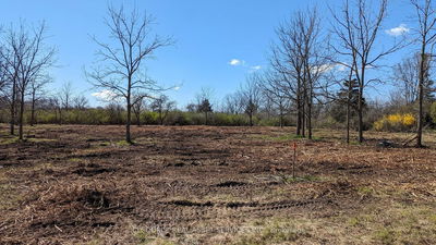Lot 8 Rathfon Rd, Wainfleet - Lakeshore image-0-2
