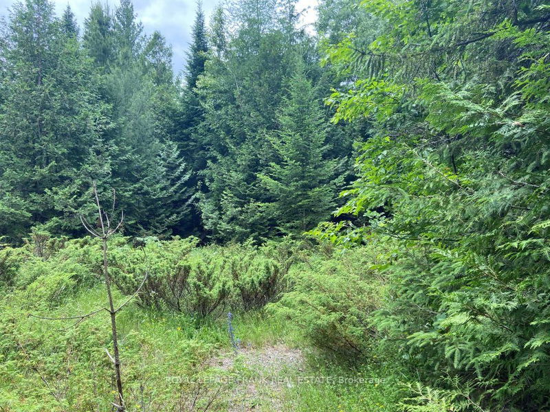  Barcroft Rd, Trent Lakes - Trent Lakes image-0-0