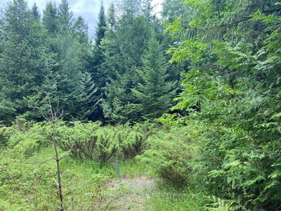  Barcroft Rd, Trent Lakes - Trent Lakes