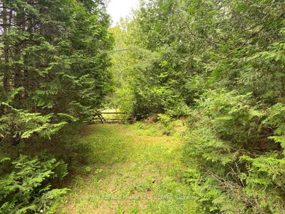  Barcroft Rd, Trent Lakes - Trent Lakes image-0-1