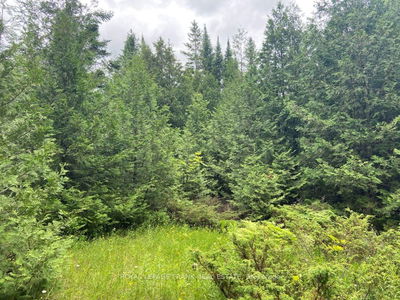  Barcroft Rd, Trent Lakes - Trent Lakes image-0-2