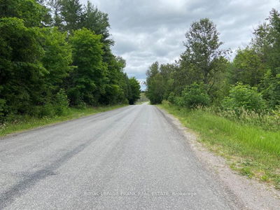  Barcroft Rd, Trent Lakes - Trent Lakes image-0-3