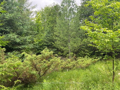  Barcroft Rd, Trent Lakes - Trent Lakes image-0-4