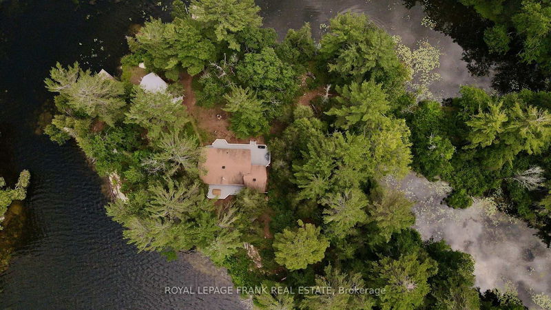 2295 Stony Lake Isl 17, North Kawartha - North Kawartha image-0-0