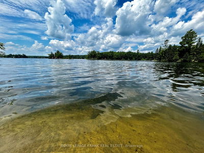 2295 Stony Lake Isl 17, North Kawartha - North Kawartha image-0-4