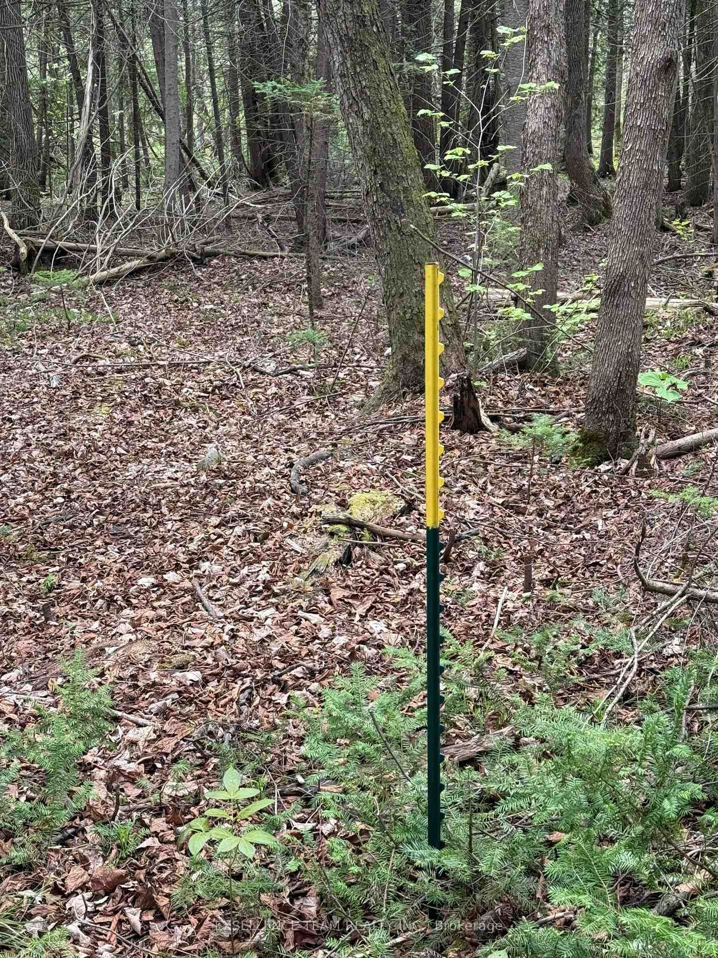 Vacant Land for sale at 000 Kenyon Dam Road, North Glengarry, North Glengarry (Kenyon) Twp, K0C 1A0 - MLS: X12156297