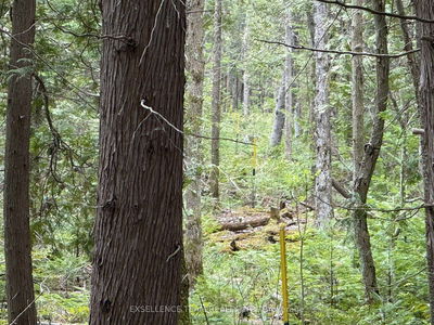 000 Kenyon Dam Rd, North Glengarry - North Glengarry (Kenyon) Twp image-0-2