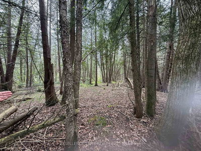 000 Kenyon Dam Rd, North Glengarry - North Glengarry (Kenyon) Twp image-0-3