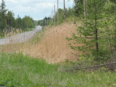 000 Kenyon Dam Rd, North Glengarry - North Glengarry (Kenyon) Twp image-0-4