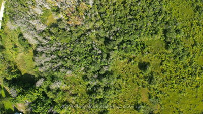 LT 36 Bartley Dr, Northern Bruce Peninsula - Northern Bruce Peninsula image-0-3
