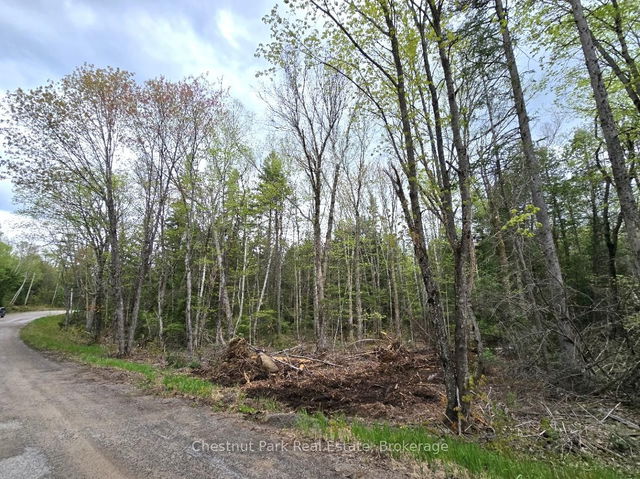 Part 1 Echo Ridge Road