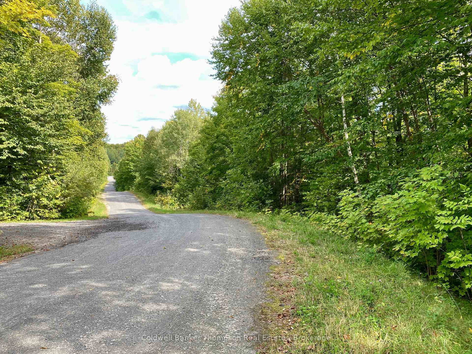 Vacant Land for sale at 0 BROWN Lane, Parry Sound Remote Area, McConkey, P0H 1S0 - MLS: X12157399