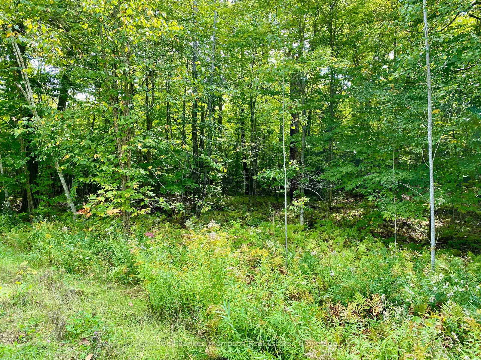 Vacant Land for sale at 0 BROWN Lane, Parry Sound Remote Area, McConkey, P0H 1S0 - MLS: X12157399