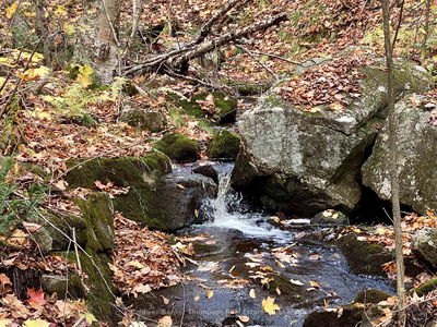  BROWN Lane, Parry Sound Remote Area - McConkey image-0-3