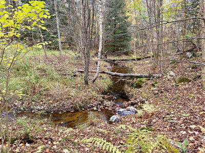  BROWN Lane, Parry Sound Remote Area - McConkey image-0-4