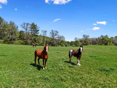 4566 Harwood Rd, Hamilton Township - Rural Hamilton image-0-2