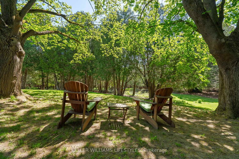 15083 Medway Rd, Middlesex Centre - Rural Middlesex Centre image-0-0