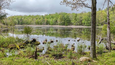 PART LOTS 10 AN RITZ Rd, Rideau Lakes - Rideau Lakes (South Crosby) Twp image-0-1