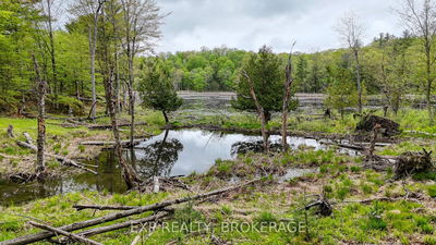 PART LOTS 10 AN RITZ Rd, Rideau Lakes - Rideau Lakes (South Crosby) Twp image-0-4