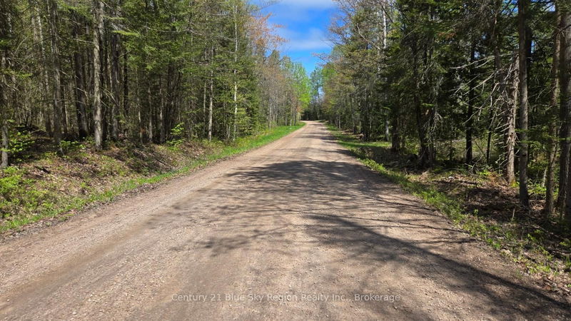 PT LT 10 Con 16 Village Rd, Chisholm - Chisholm image-0-0