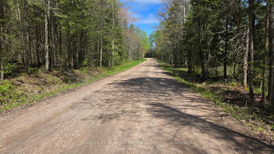 PT LT 10 Con 16 Village Rd, Chisholm - Chisholm