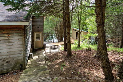 49 Bay Ridge Lane, Westport - Westport image-0-2
